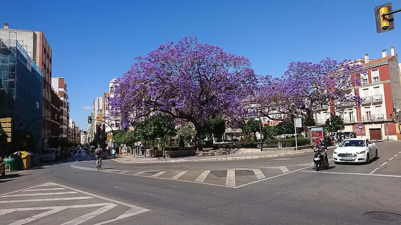Victoria Citycenter Apartment Malaga
